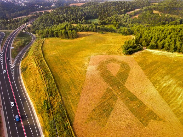 Paisajes evanescentes, la revolución del amarillo